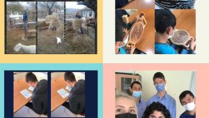 Özel çocuklar başarıya koşuyor