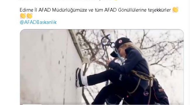 Soylu