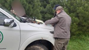 Av sezonu dışında avlanan bir kişiye ceza uygulandı