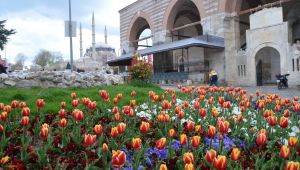 Edirne baharı lalelerle karşılıyor