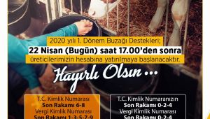 İba’dan buzağı destek ödemeleri müjdesi