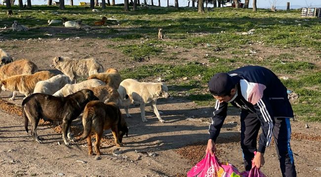 Sokak hayvanları unutulmadı