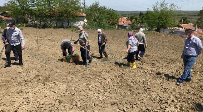 Huzurevi sakinlerinden tarımsal faaliyetler