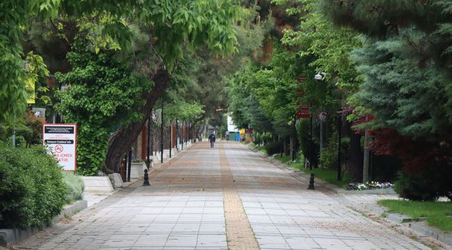 Kapanmadan sonra 'Kademeli Normalleşme' dönemi