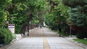 Kapanmadan sonra 'Kademeli Normalleşme' dönemi
