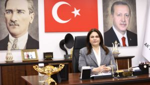 ‘Milli irade kazanır!’