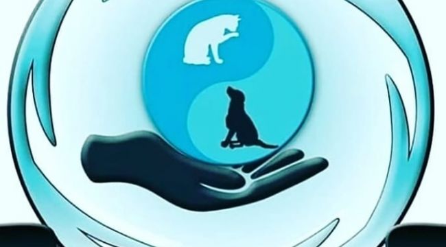 ‘Olay sadece hayvana şiddet olayı değildir’