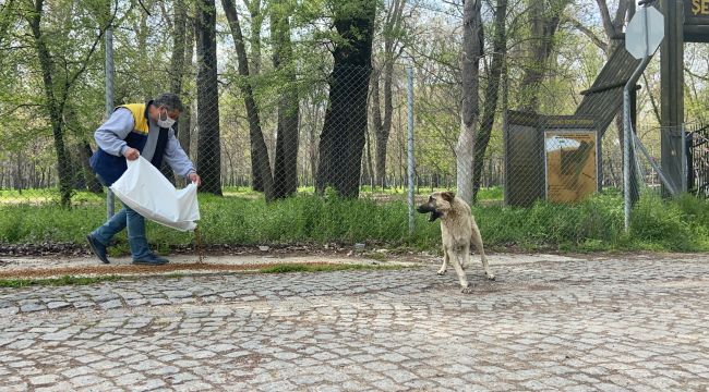 Salgın sürecinde sokağa terk edilen hayvan sayısı artıyor