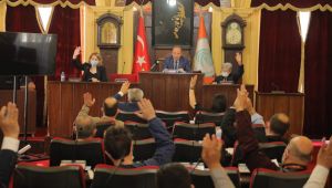 Selimiye Camisi meydanında düzenleme