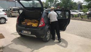 Sokak hayvanları için derneklere mama dağıtıldı