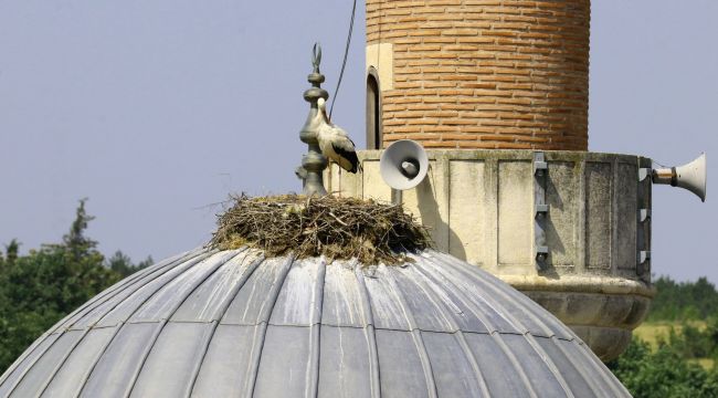 Tarihi Gazi Turhanbey Camisi göçmen kuşlara yuva oldu