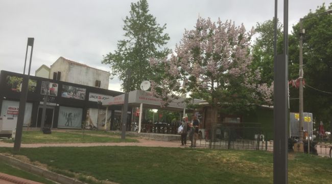 Yeni direklere ‘dokuya uymuyor’ tepkisi