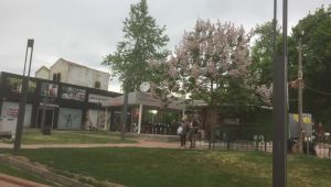 Yeni direklere ‘dokuya uymuyor’ tepkisi