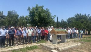 Aslan, feci kazada yaşamını yitirdi