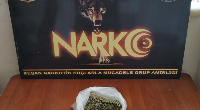 Evde 110 gram bonzai ele geçirildi