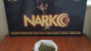 Evde 110 gram bonzai ele geçirildi