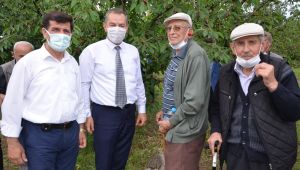 Huzurevi sakinleri kiraz hasadında