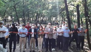 İnce koru kamp ve mesire alanı turizme açıldı