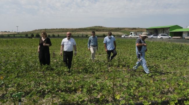 İyi tarım uygulamaları yerinde incelendi