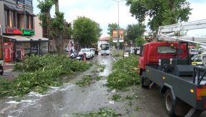 Kentte yaşanan fırtına kırdı geçti