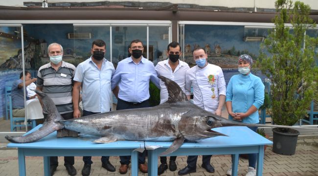 Saros Körfezi'nde yaklaşık 3 metre boyunda kılıç balığı yakalandı