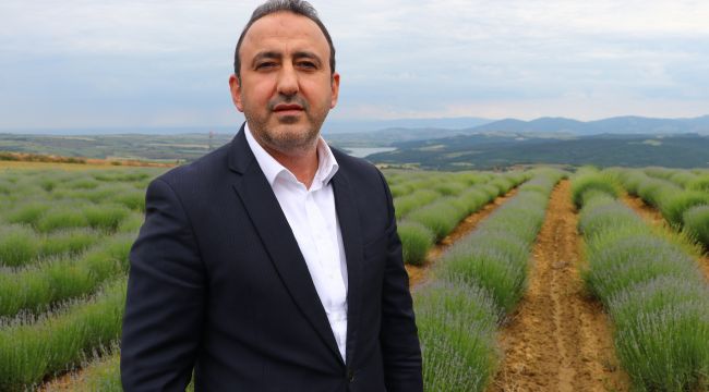 Trakya'da kıraç araziler lavanta ile değerlendiriliyor