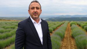 Trakya'da kıraç araziler lavanta ile değerlendiriliyor