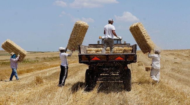 Trakya’nın samanı da kıymetlendi