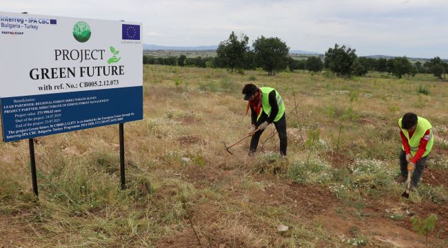 Türkiye ve Bulgaristan sınırında Yeşil Gelecek Ormanı oluşturuldu