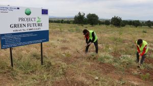 Türkiye ve Bulgaristan sınırında Yeşil Gelecek Ormanı oluşturuldu