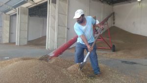 Ürününü borsaya getiren üretici isyanda