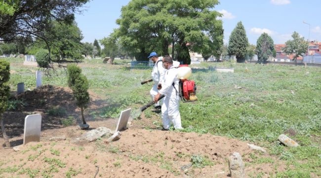 Zararlı otlara karşı ilaçlı müdahale