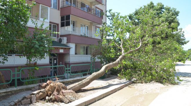 Edirne yağmur, dolu ve fırtınaya teslim