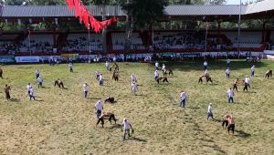 'Kırkpınar yağlı güreşin olimpiyatı'