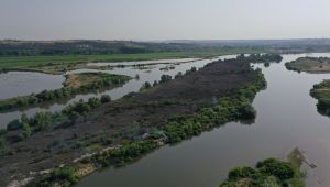 Meriç Nehri'ndeki adacıkta çıkan yangın kendiliğinden söndü