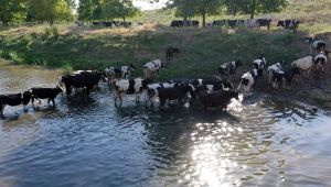  Sıcak hava hayatı olumsuz etkiledi
