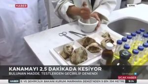 TÜ öğretim üyeleri, kanamayı hızla durduran formül geliştirdi