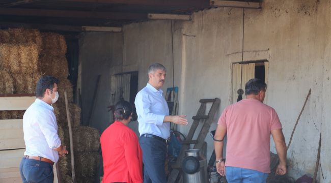 Bayazıt, depoları yanan üreticileri ziyaret etti