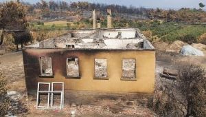 ‘Devlet ormancılığımız bir kuşatma altındadır’