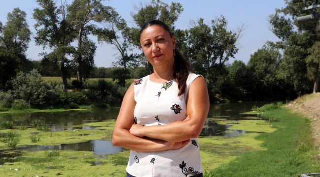 Düşen debi
