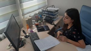 Kadına yönelik şiddetle mücadelede ulusal eylem planı