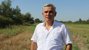 Kaya’dan