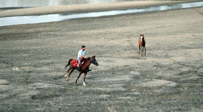 Kum adacıklarında atlar antrenman yapıyor