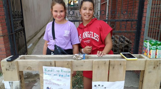 Ortaokul öğrencileri sokak hayvanları için stant açtı