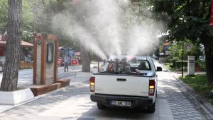 Popülasyonu artan dantel böceği ile mücadele sürüyor