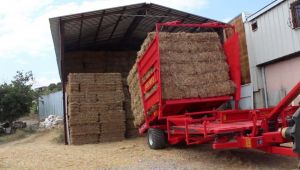 Saman depolarında yaşanan yangınlara karşı dikkat!