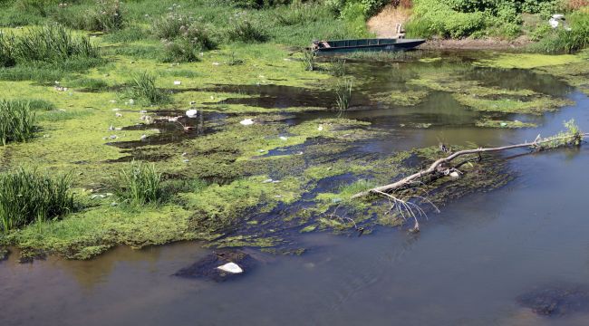 Tunca Nehri’nden çıkan çöpler pes dedirtti