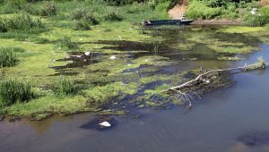 Tunca Nehri’nden çıkan çöpler pes dedirtti