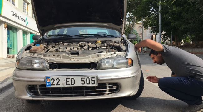 Yavru kediyi çevredekilerin dikkati kurtardı