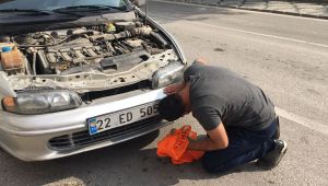 Yavru kediyi çevredekilerin dikkati kurtardı